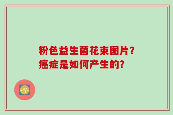 粉色益生菌花束图片?症是如何产生的? 粉色益生菌花束图片?症是如何产生的?