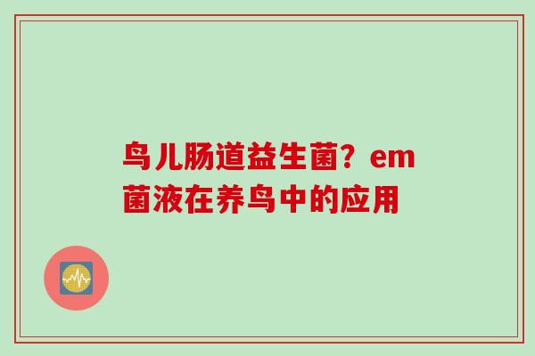 鸟儿肠道益生菌?em菌液在养鸟中的应用 鸟儿肠道益生菌?em菌液在养鸟中的应用