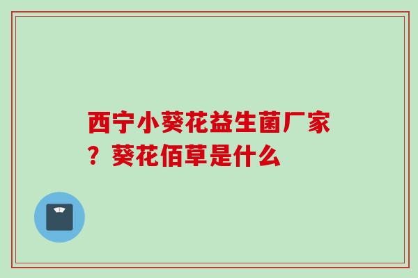 西宁小葵花益生菌厂家?葵花佰草是什么 西宁小葵花益生菌厂家?葵花佰草是什么