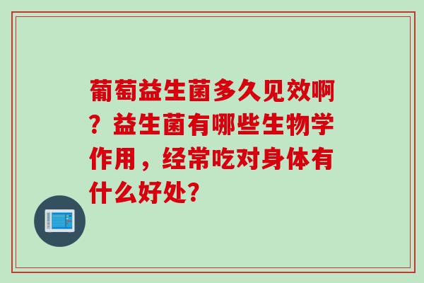 葡萄益生菌多久见效啊？益生菌有哪些生物学作用，经常吃对身体有什么好处？