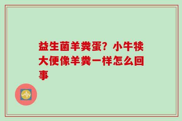 益生菌羊粪蛋?小牛犊大便像羊粪一样怎么回事 益生菌羊粪蛋?小牛犊大便像羊粪一样怎么回事