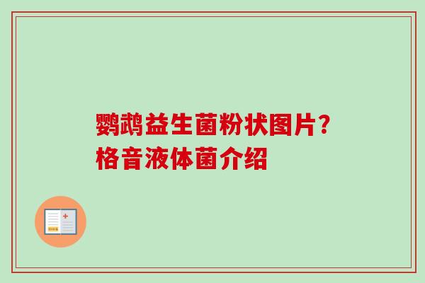 鹦鹉益生菌粉状图片？格音液体菌介绍