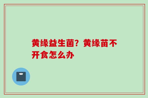 黄缘益生菌?黄缘苗不开食怎么办 黄缘益生菌?黄缘苗不开食怎么办