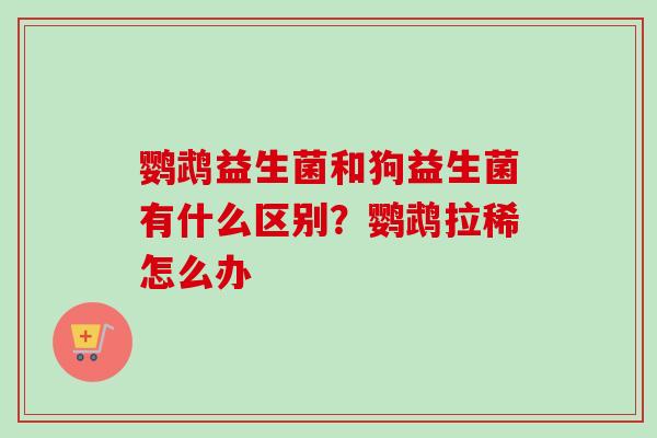 鹦鹉益生菌和狗益生菌有什么区别?鹦鹉拉稀怎么办 鹦鹉益生菌和狗益生菌有什么区别?鹦鹉拉稀怎么办