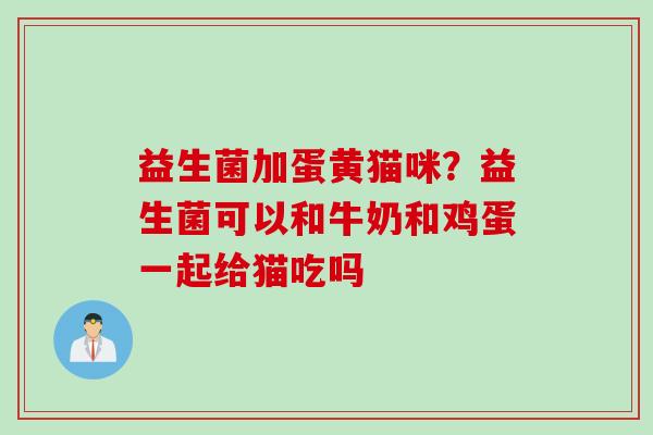 益生菌加蛋黄猫咪？益生菌可以和牛奶和鸡蛋一起给猫吃吗