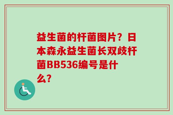 益生菌的杆菌图片?日本森永益生菌长双歧杆菌BB536编号是什么? 益生菌的杆菌图片?日本森永益生菌长双歧杆菌BB536编号是什么?