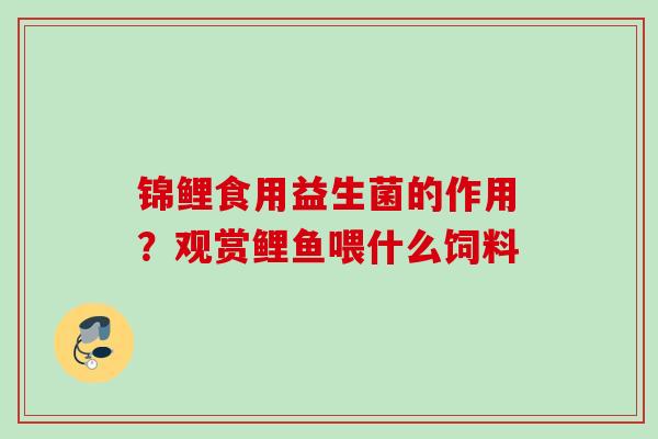 锦鲤食用益生菌的作用？观赏鲤鱼喂什么饲料