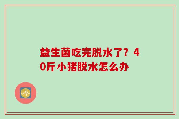 益生菌吃完脱水了？40斤小猪脱水怎么办