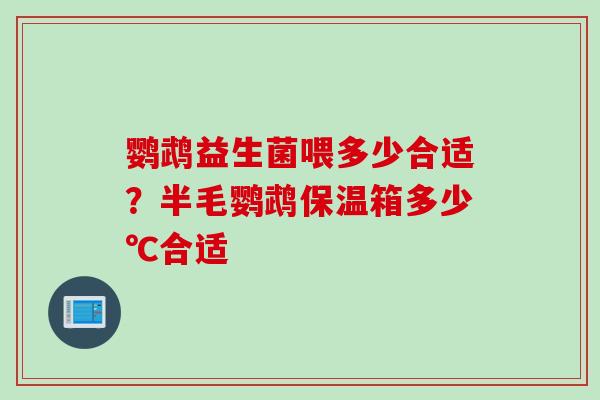 鹦鹉益生菌喂多少合适?半毛鹦鹉保温箱多少℃合适 鹦鹉益生菌喂多少合适?半毛鹦鹉保温箱多少℃合适