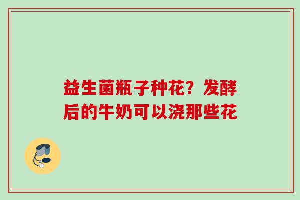 益生菌瓶子种花?发酵后的牛奶可以浇那些花 益生菌瓶子种花?发酵后的牛奶可以浇那些花