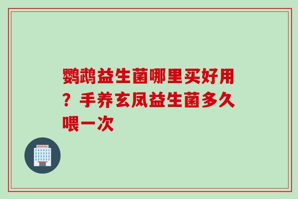 鹦鹉益生菌哪里买好用？手养玄凤益生菌多久喂一次