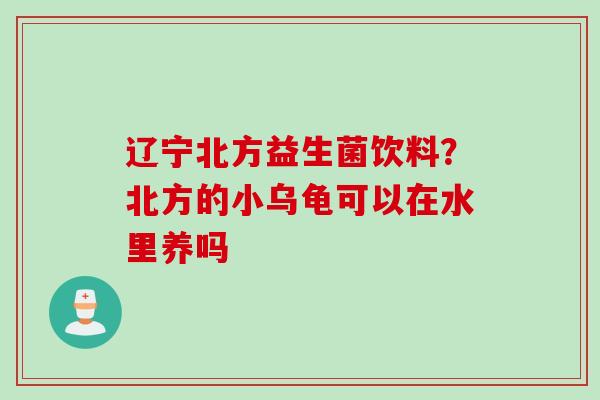 辽宁北方益生菌饮料？北方的小乌龟可以在水里养吗