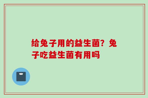 给兔子用的益生菌？兔子吃益生菌有用吗