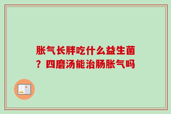 长胖吃什么益生菌？四磨汤能肠吗