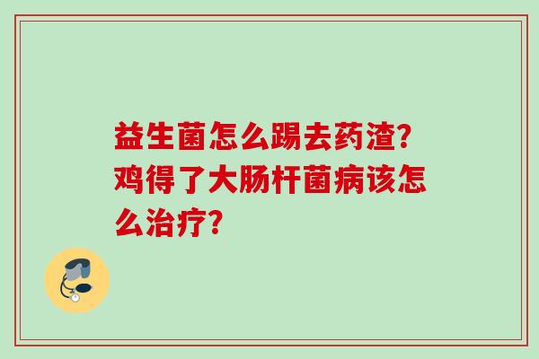 益生菌怎么踢去药渣？鸡得了大肠杆菌该怎么？