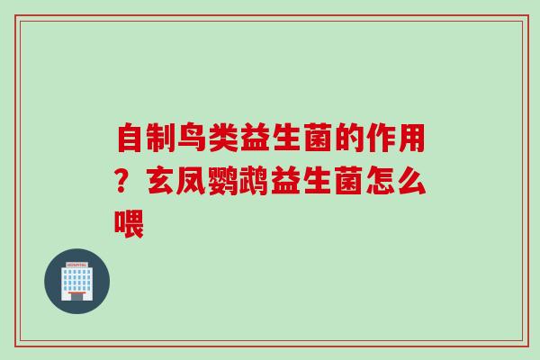 自制鸟类益生菌的作用?玄凤鹦鹉益生菌怎么喂 自制鸟类益生菌的作用?玄凤鹦鹉益生菌怎么喂