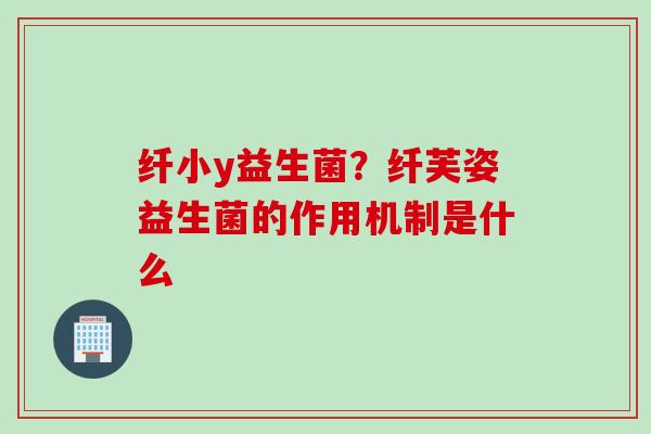 纤小y益生菌?纤芙姿益生菌的作用机制是什么 纤小y益生菌?纤芙姿益生菌的作用机制是什么