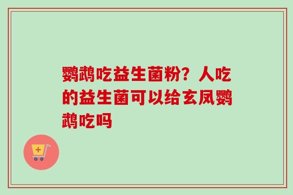 鹦鹉吃益生菌粉？人吃的益生菌可以给玄凤鹦鹉吃吗