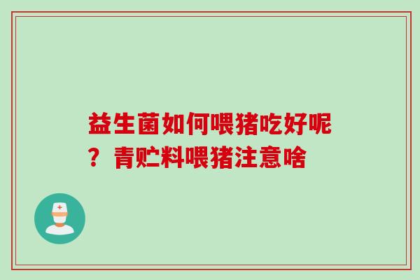 益生菌如何喂猪吃好呢？青贮料喂猪注意啥