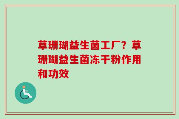 草珊瑚益生菌工厂？草珊瑚益生菌冻干粉作用和功效