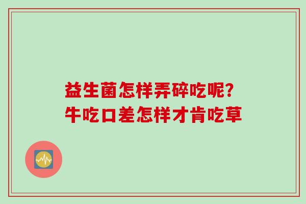 益生菌怎样弄碎吃呢？牛吃口差怎样才肯吃草