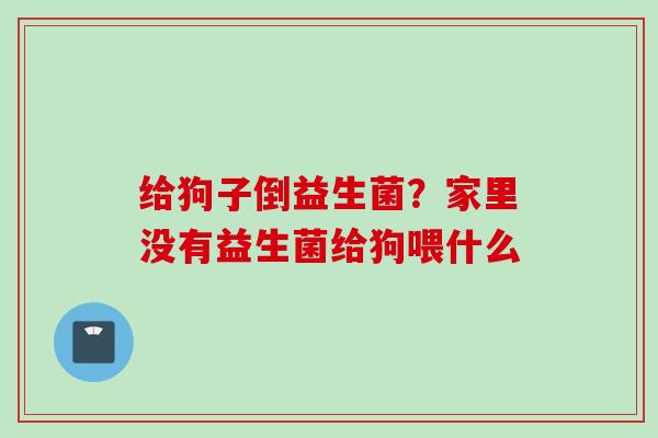 给狗子倒益生菌？家里没有益生菌给狗喂什么