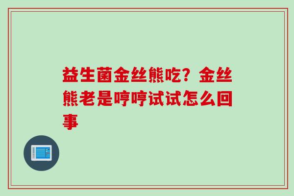 益生菌金丝熊吃？金丝熊老是哼哼试试怎么回事