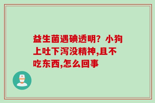 益生菌遇碘透明？小狗上吐下泻没精神,且不吃东西,怎么回事