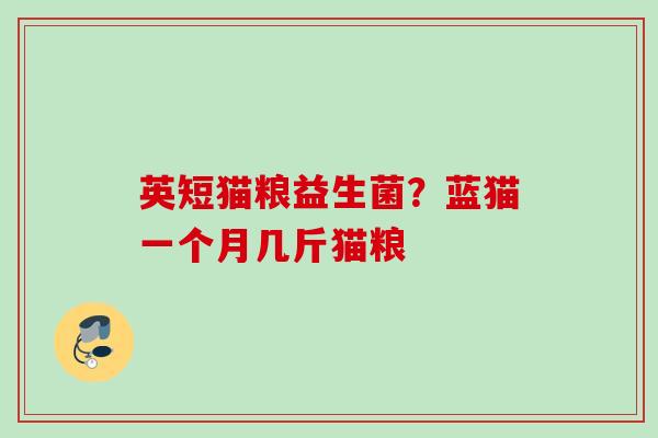 英短猫粮益生菌？蓝猫一个月几斤猫粮