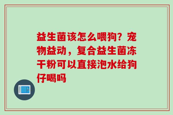 益生菌该怎么喂狗？宠物益动，复合益生菌冻干粉可以直接泡水给狗仔喝吗