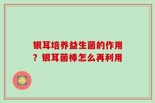 银耳培养益生菌的作用？银耳菌棒怎么再利用