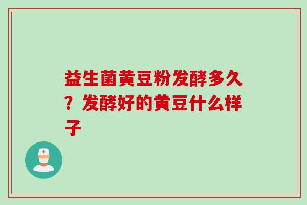 益生菌黄豆粉发酵多久？发酵好的黄豆什么样子