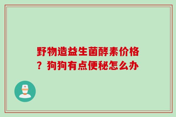 野物造益生菌酵素价格？狗狗有点便秘怎么办