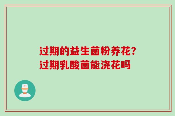 过期的益生菌粉养花?过期乳酸菌能浇花吗 过期的益生菌粉养花?过期乳酸菌能浇花吗
