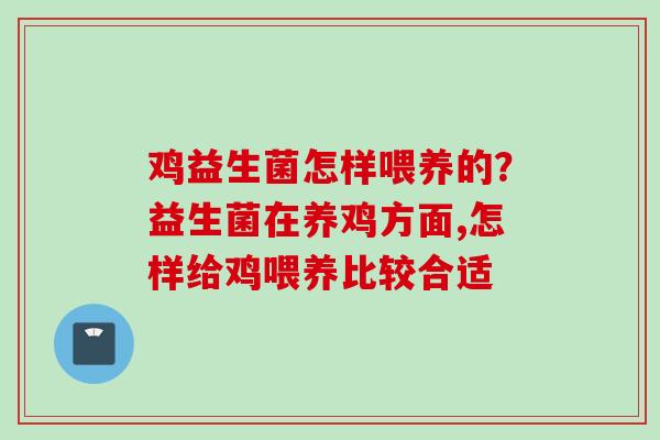 鸡益生菌怎样喂养的?益生菌在养鸡方面,怎样给鸡喂养比较合适 鸡益生菌怎样喂养的?益生菌在养鸡方面,怎样给鸡喂养比较合适