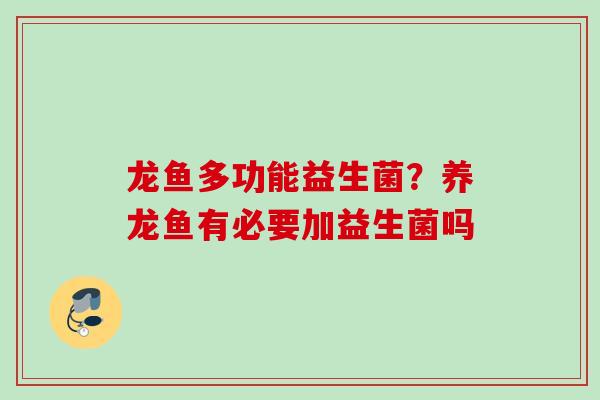 龙鱼多功能益生菌?养龙鱼有必要加益生菌吗 龙鱼多功能益生菌?养龙鱼有必要加益生菌吗