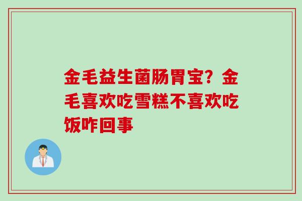金毛益生菌肠胃宝?金毛喜欢吃雪糕不喜欢吃饭咋回事 金毛益生菌肠胃宝?金毛喜欢吃雪糕不喜欢吃饭咋回事