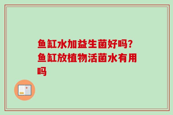 鱼缸水加益生菌好吗？鱼缸放植物活菌水有用吗