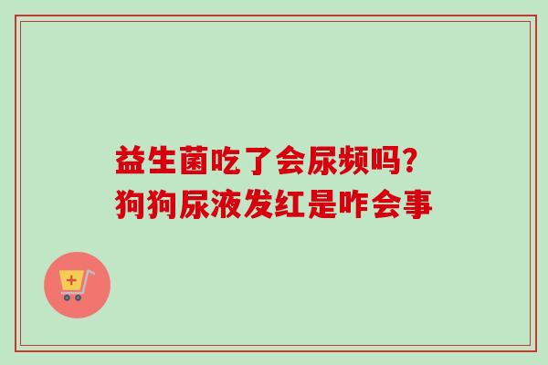 益生菌吃了会尿频吗?狗狗尿液发红是咋会事 益生菌吃了会尿频吗?狗狗尿液发红是咋会事