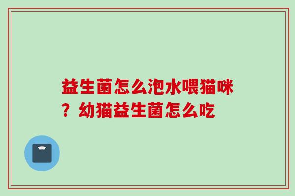 益生菌怎么泡水喂猫咪?幼猫益生菌怎么吃 益生菌怎么泡水喂猫咪?幼猫益生菌怎么吃