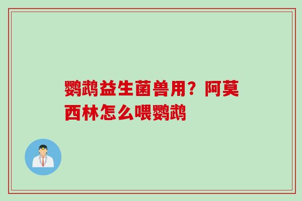 鹦鹉益生菌兽用?阿莫西林怎么喂鹦鹉 鹦鹉益生菌兽用?阿莫西林怎么喂鹦鹉