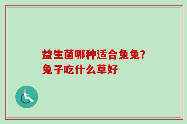 益生菌哪种适合兔兔?兔子吃什么草好 益生菌哪种适合兔兔?兔子吃什么草好