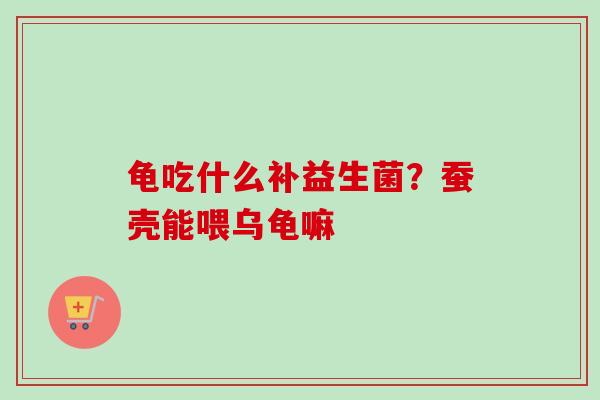 龟吃什么补益生菌？蚕壳能喂乌龟嘛