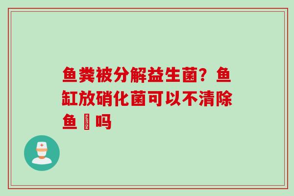 鱼粪被分解益生菌？鱼缸放硝化菌可以不清除鱼糞吗