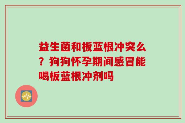 益生菌和板蓝根冲突么?狗狗怀孕期间能喝板蓝根冲剂吗 益生菌和板蓝根冲突么?狗狗怀孕期间能喝板蓝根冲剂吗