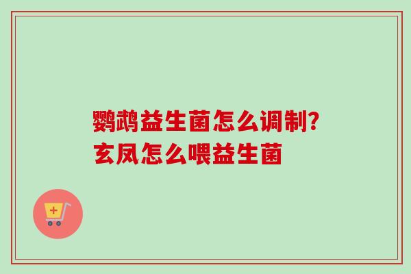 鹦鹉益生菌怎么调制？玄凤怎么喂益生菌