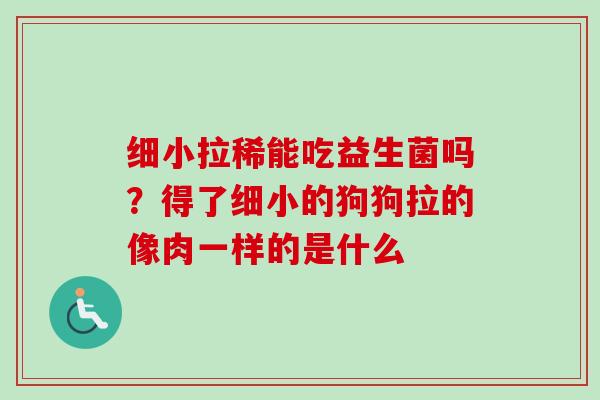 细小拉稀能吃益生菌吗？得了细小的狗狗拉的像肉一样的是什么