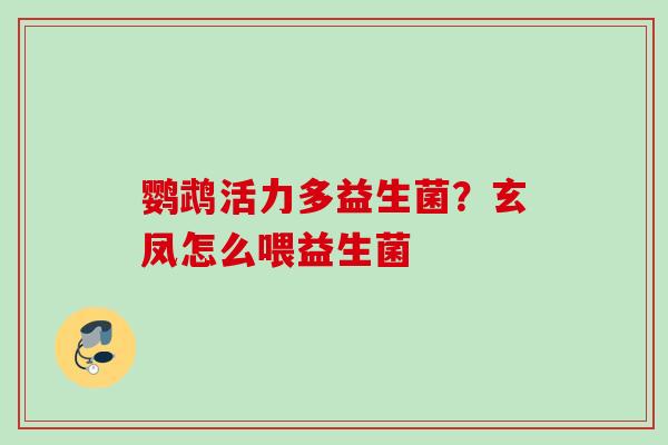 鹦鹉活力多益生菌？玄凤怎么喂益生菌