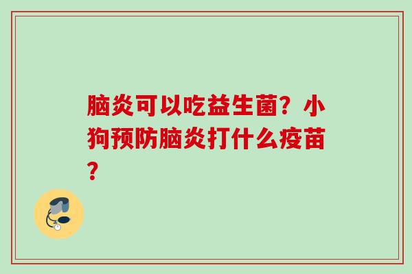 脑炎可以吃益生菌？小狗脑炎打什么疫苗？