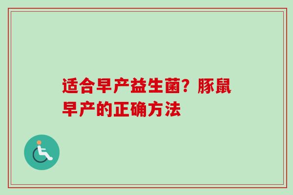 适合早产益生菌?豚鼠早产的正确方法 适合早产益生菌?豚鼠早产的正确方法